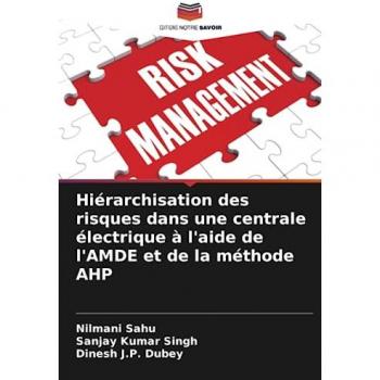 Sahu, Nilmani: Hiérarchisation des risques dans une centrale électrique à l'aide de l'AMDE et de la méthode AHP