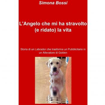 L'Angelo che mi ha stravolto