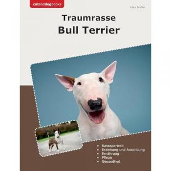 Traumrasse Bull Terrier