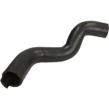 Manguera del radiador THERMOTEC DWP108TT para PEUGEOT 306 Hatchback, Partner I Furgón, Combispace y CITROËN Berlingo / First