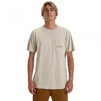 Billabong T-Shirt EBYZT00175 Beige Regular Fit Herren