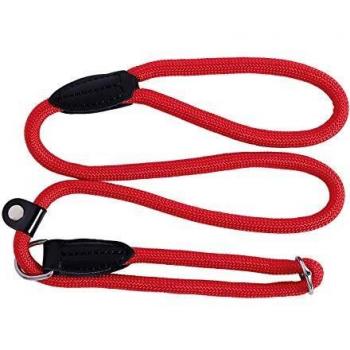 Rosso Retriver Guinzaglio Formazione 120cm