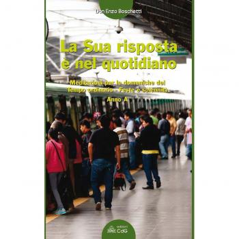 La sua risposta è nel quotidiano. Meditazioni per le domeniche del tempo ordinario. Feste e solennità. Anno A