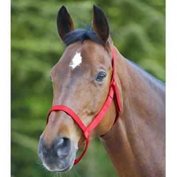 Waldhausen Red Field Halter for Ponies