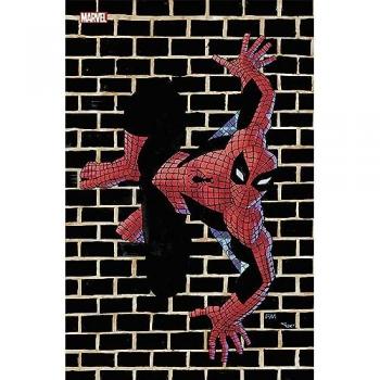 Marvel Comics N°20 (Variant