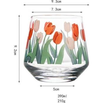 Ins Hand-Painted Heat-Resistant Glass Cup