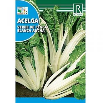 ACELGA VERDE DE PENCA ANCHA SEMILLAS 3 SOBRES