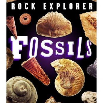 Rock Explorer Fossils by Claudia Martin