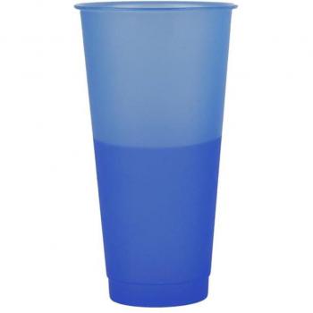 700ML Color Changing Water Cup with Lid