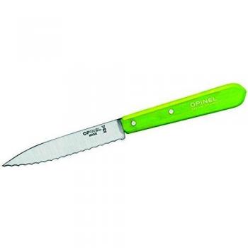 Coltello da Cucina Opinel 113 Acciaio con Manico Faggio