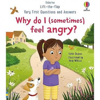 UB24 WHY DO I FEEL ANGRY
