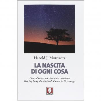 La nascita di ogni cosa. Come l'universo è diventato complesso. Dal Big Bang allo spirito dell'uomo in 28 passaggi