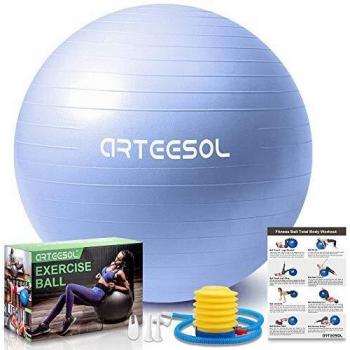 Arteesol Gym Ball for Physical Therapy (75cm, Sky Blue-Scrub)