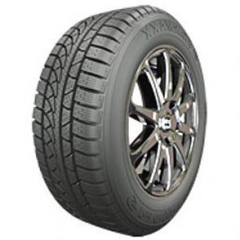 W850 StarMaxx IceGripper – 205 / 55 R16 91H für kaltes Wetter