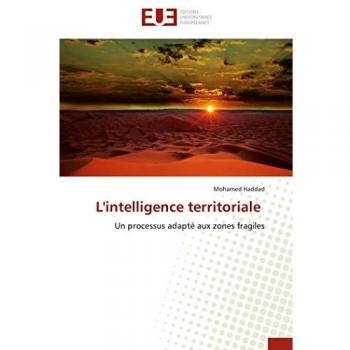 L'intelligence territoriale: Un processus adapté aux zones fragiles (Omn.Univ.Europ.)
