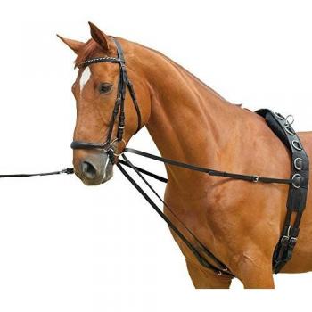 Waldhausen STAR Dual-Black Lunging Draw Reins