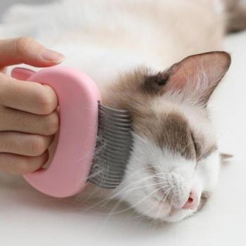 Grooming Brush for Dogs and Cats