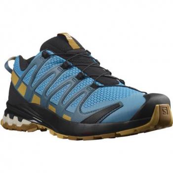 Salomon XA PRO 3D v8 chaussures de course homme 44 EUR