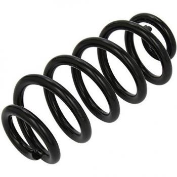Lesjofers 4204254 Coil Spring Rear