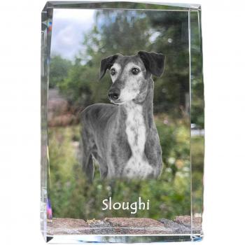 Gazelle Hound Modern Art Photo