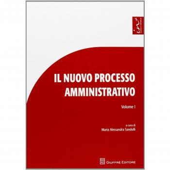 Il nuovo processo amministrativo. Studi e contributi. Vol. 1