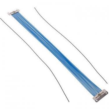 Snappy Blue Stainless Steel by Black Swamp [S14C]