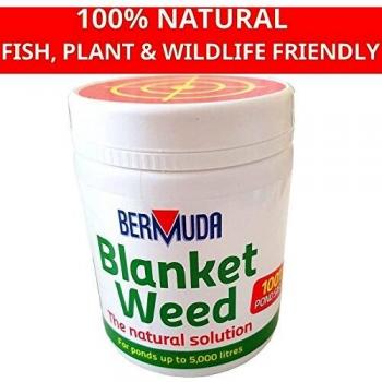 String Algae Remover for Ponds 400g