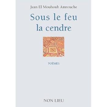 Sous le feu la cendre