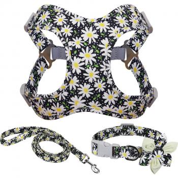 Harnais + Collier Bouledogue Français Décoré – Version Sans Tirage