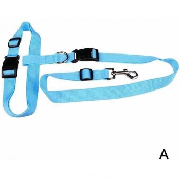 Freihand Hundeblei für aktive Hundebesitzer