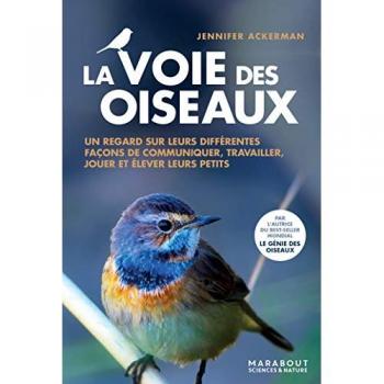 La voie des oiseaux: Un regard sur leurs différentes façons de communiquer, travailler, jouer et élever leurs petits (Animaux, Band 31641)