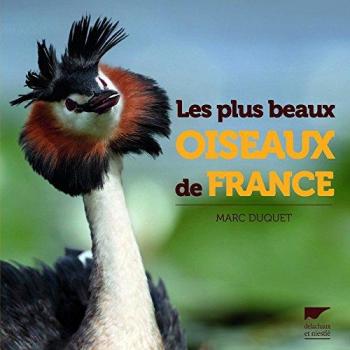 plus beaux oiseaux de France (Les)