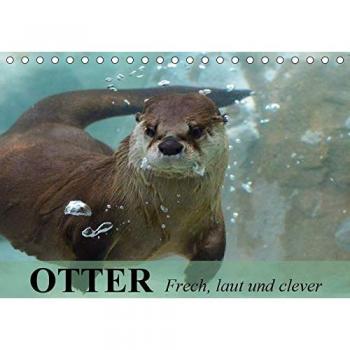 Otter. Frech, laut und clever