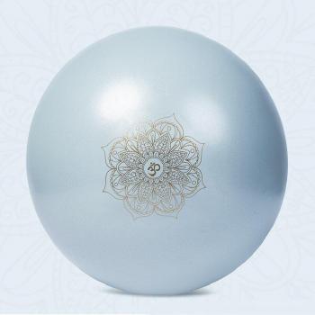 Fitball Exercise Ball
