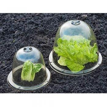 Nature Kweekkappen met ventilatie 34.5 x 33.5 cm