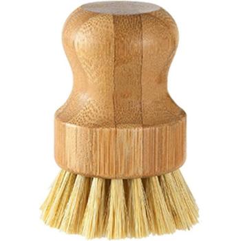 Palma Ronda Cepillo Eco‑Plata