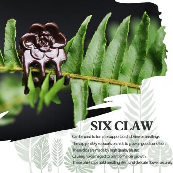 Broches de Tallo Marrones para Jardinería, 6 Garras