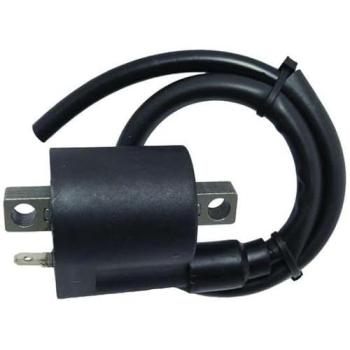 CPS25 Ignition Coil WAI