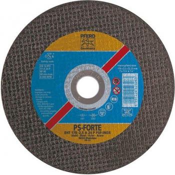 PFERD 61721100 Precision Cutting Disc EHT 125-1.0 PSF