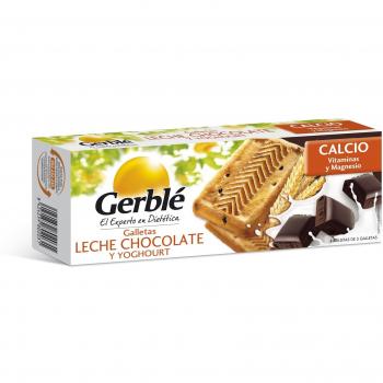 Gall. Schokoyogurt 2× (Packung)