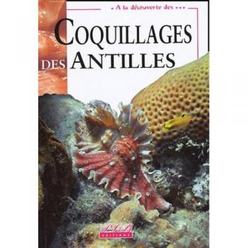 Coquillages des Antilles