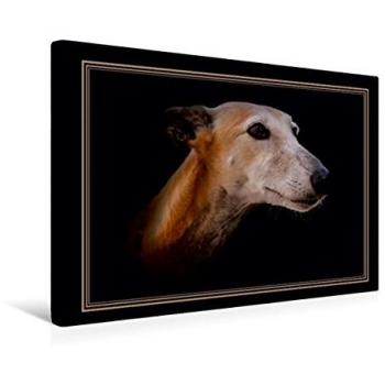 CALVENDO Galgo Español 2017