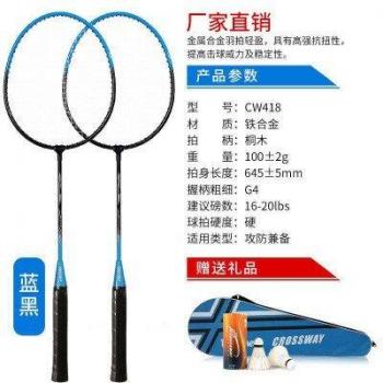 Leichte Badminton Schläger für Profis