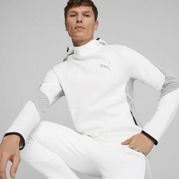 Puma Sudadera Con Capucha Evostripe Dk