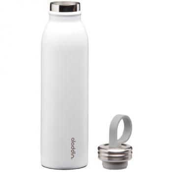 Aladdin CHILLED Edelstahl Trinkflasche 0,55 l