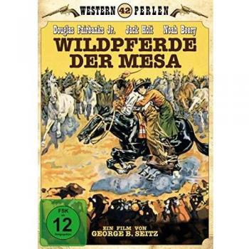 Wildpferde der Mesa
