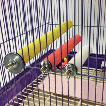 Pole Bird Supply