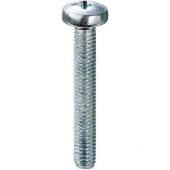500 Vites Tête Cylindrique 6x10 Zinc