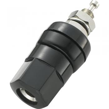 Borne noire de polarité 30A