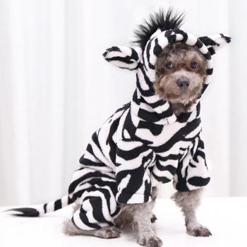 Chaqueta con Capucha para Mascotas